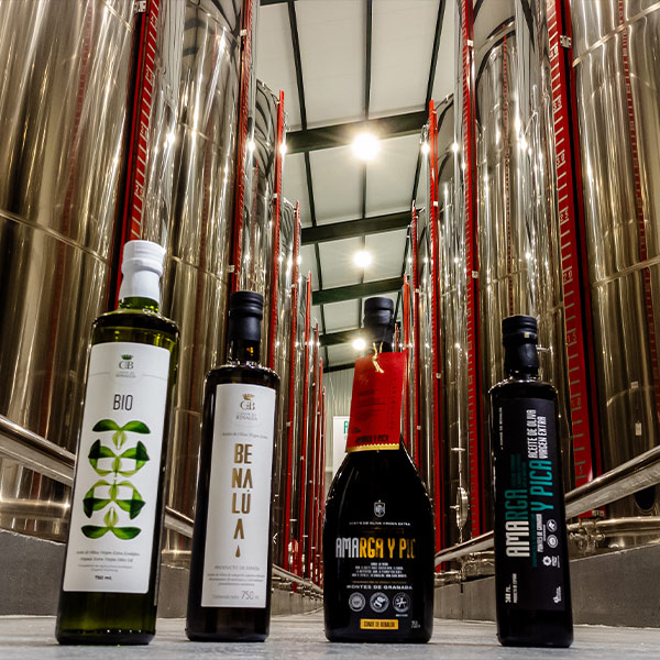 Instalaciones Amarga y Pica